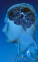 Activité du cerveau